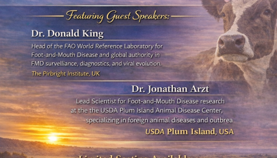 FMD Symposium 31.07.2026